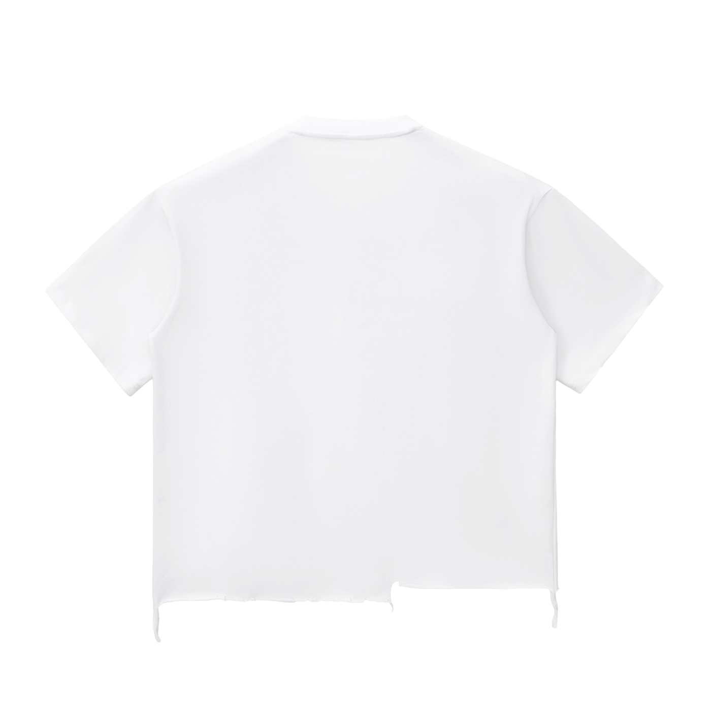 The Uncrowned E.G.O. Snow Wash Crop Tee